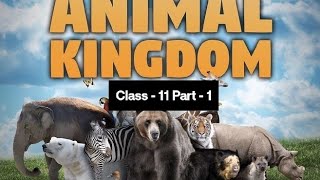 Class 11 Chapter4 Animal Kingdom Part1  Padhaku trending viral viralvideo [upl. by Alis]