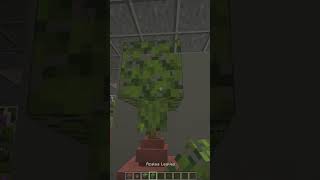 Azalea Flower pot in Minecraft shorts minecraft [upl. by Aduhey]