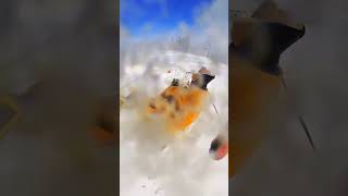 The cheering was on point best extremesport snow snowboardfails [upl. by Halda]