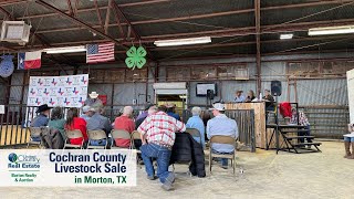 Livestock Sale in Cochran County TX [upl. by Clayberg492]