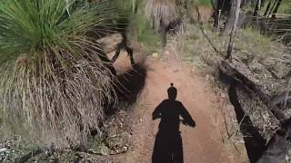 Flaccid Ashback Trail in Kalamunda Western Australia [upl. by Higginson539]