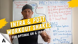 Optimize your Growth Hormone and IGF 1  Take your Intra amp Post Workout Shakes Correctly [upl. by Ettecul618]