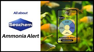 Seachem Ammonia Alert [upl. by Ahcsatan]