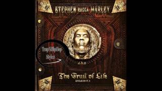 Stephen Marley – Tonight It’s a Party feat DJ Khaled Waka Flocka Flame amp Iggy Azalea [upl. by Merrow]