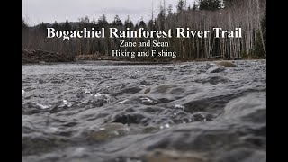 Upper Bogachiel Steelhead Fishing [upl. by Terrel]