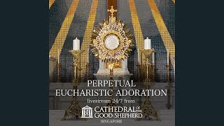 Perpetual 247 Eucharistic Adoration Prayer Mission [upl. by Fi]