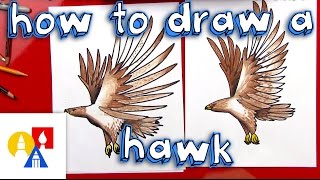 How To Draw A Realistic Hawk [upl. by Lorak972]