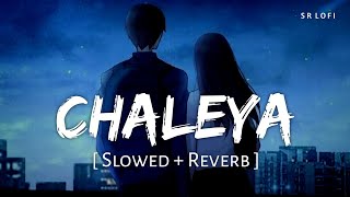 Chaleya Slowed  Reverb  Arijit Singh Shilpa Rao  Jawan  SR Lofi [upl. by Brainard]