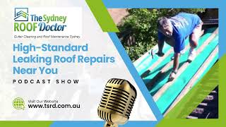 HighStandard Leaking Roof Repairs Near You Leading Roof Repair Company [upl. by Tella]