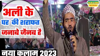 Ali ke ghar ki sharafat janabi zainab hai  mohammad ali faizi newnaat2023 viralnaat [upl. by Sarita]