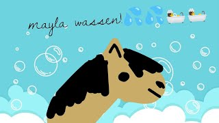 mayla wassen💦🛀 ponytail1218  hobbyhorse  wassen [upl. by Grory62]