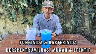 FUNGISIDA amp BAKTERISIDA BERSPEKTRUM LUAS MURAH amp EFEKTIF [upl. by Lledra]