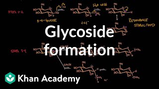 Carbohydrate  Glycoside formation hydrolysis  Chemical processes  MCAT  Khan Academy [upl. by Etselec]