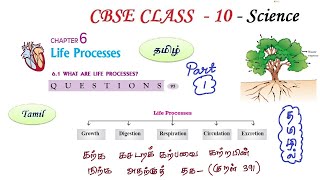 Life Processes in Tamil  Part 01 Class 10 Science Chapter 6 Biology in Tamil CBSE NCERT Science [upl. by Auqinat606]