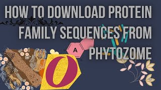 Download sequence of gene family from phytozome [upl. by Latoniah]