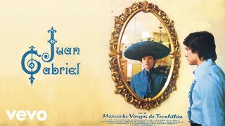 Juan Gabriel  Lágrimas y Lluvia Cover Audio [upl. by Kraska]