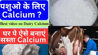 Calcium की कितनी मात्रा चाहिए पशुओ को  Home Made Calcium For Farm Animals drcharandeep [upl. by Thaxter]