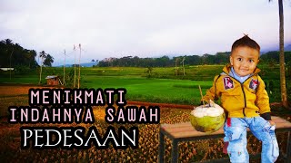 Menikmati indahnya sawah pedesaan dengan alunan Kecapi Suling Sunda yang merdu [upl. by Claresta]