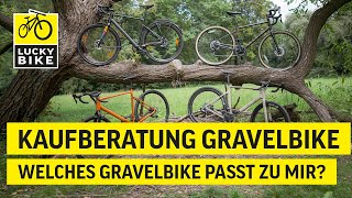 KAUFBERATUNG GRAVELBIKE  Welches Gravelbike passt zu mir [upl. by Kerril708]