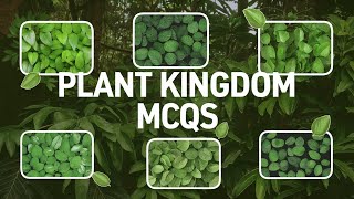 Top Plant Kingdom MCQs for NEET amp Exams  Important Questions amp Answers [upl. by Kippie351]