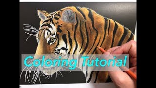 Intricate Ink Animals in detail  Tiger  Coloring prismacolor [upl. by Armilla264]