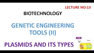 Plasmids  types of plasmids  biotechnology lectures [upl. by Ahsoym58]