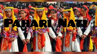 Himachali Traditional dance  Pahari Dance  Naati   Latest Pahari song  Deities Of HImachal [upl. by Dosh]