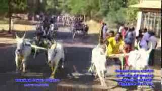 Rekla Race 2013 SivagangaiCongress2 Puthupatti Ganapathi [upl. by Pilloff]