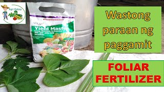 How Foliar fertilizer works Tamang Pagaabono ng foliar fertilizer  Agrigabay [upl. by Enenej]