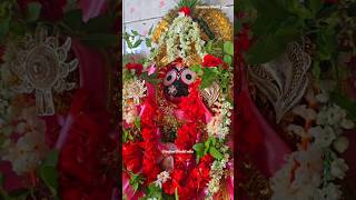 Jagannath Bhakti EXPLODES in 4K Status youtubeshorts [upl. by Mildred]