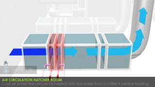 Petersime turnkey hatcheries air circulation in the hatchery [upl. by Dnalrag174]