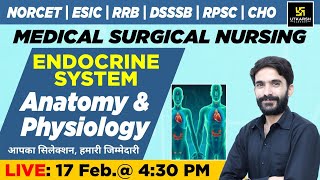 Endocrine System  Anatomy amp Physiology  NORCET amp Other Nursing Exams  Raju Sir [upl. by Althee]