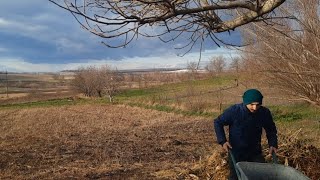 Prima zapada la Bucovina Proiecte La Tara [upl. by Airdnoed]