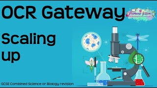 A Level Biology Revision quotOsmosis and Water Potentialquot [upl. by Anastos78]