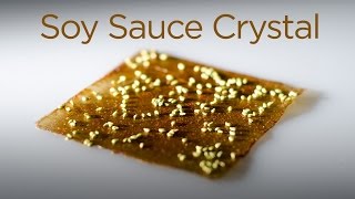 Molecular Gastronomy Soy Sauce Crystal with Edible Film [upl. by Acinoev]