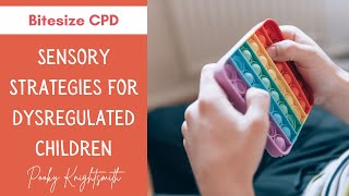 BITESIZE CPD  Sensory Strategies for Dysregulated Children [upl. by Ainatnas]