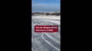 VIDÉOJOURNAL  7 février  Pas de villages de pêche blanche à La Baie [upl. by Narat]