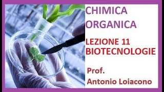 CHIMICA ORGANICA  Lezione 11  Le Biotecnologie [upl. by Davenport266]