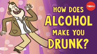 How does alcohol make you drunk  Judy Grisel [upl. by Alberic867]