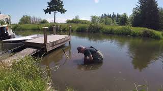 Remove Curly Pond Weed without using chemicals [upl. by Isyad237]