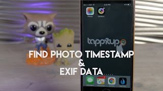 How To Find The Photo Time Stamp and EXIF Data On iPhone [upl. by Gnourt]