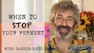 Sandor Katz Interview  Is It Done Yet When to Stop Fermenting [upl. by Allemaj]