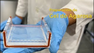 Proceso para preparar gel de Agarosa [upl. by Enitselec]