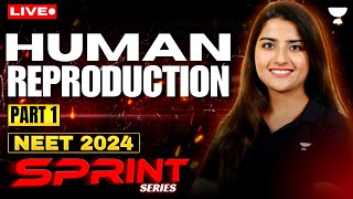 Human Reproduction Part 1  NEET 2024 Sprint Series  Seep Pahuja [upl. by Douglass]