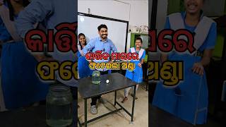 ଗୋଟେ ଅଣ୍ଡା🥚 ନଷ୍ଟ 🤦 shorts ytshorts physics experiment viralshorts mazaakarisikhiba [upl. by Zizaludba313]