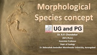 Morphological species concept [upl. by Dranek]