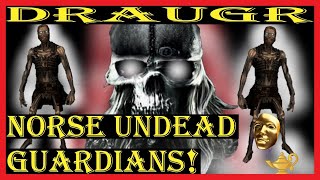 How to Understand The Draugar The Nordic Undead Guardians [upl. by Quita525]