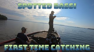 We Found Schooling Spotted Bass Buggs Island  Part 3 [upl. by Suhpesoj436]