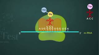 Molecular Basis of Inheritance class 12th part 4 molecularbiology [upl. by Annoyik]