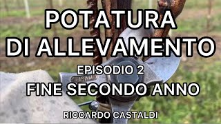 Vite La potatura di allevamento  fine secondo anno [upl. by Arit619]